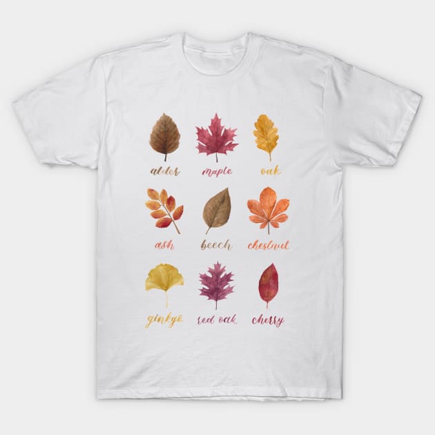 Fall Leaves Chart Watercolour Painting & Calligraphy T-Shirt by Flowering Words